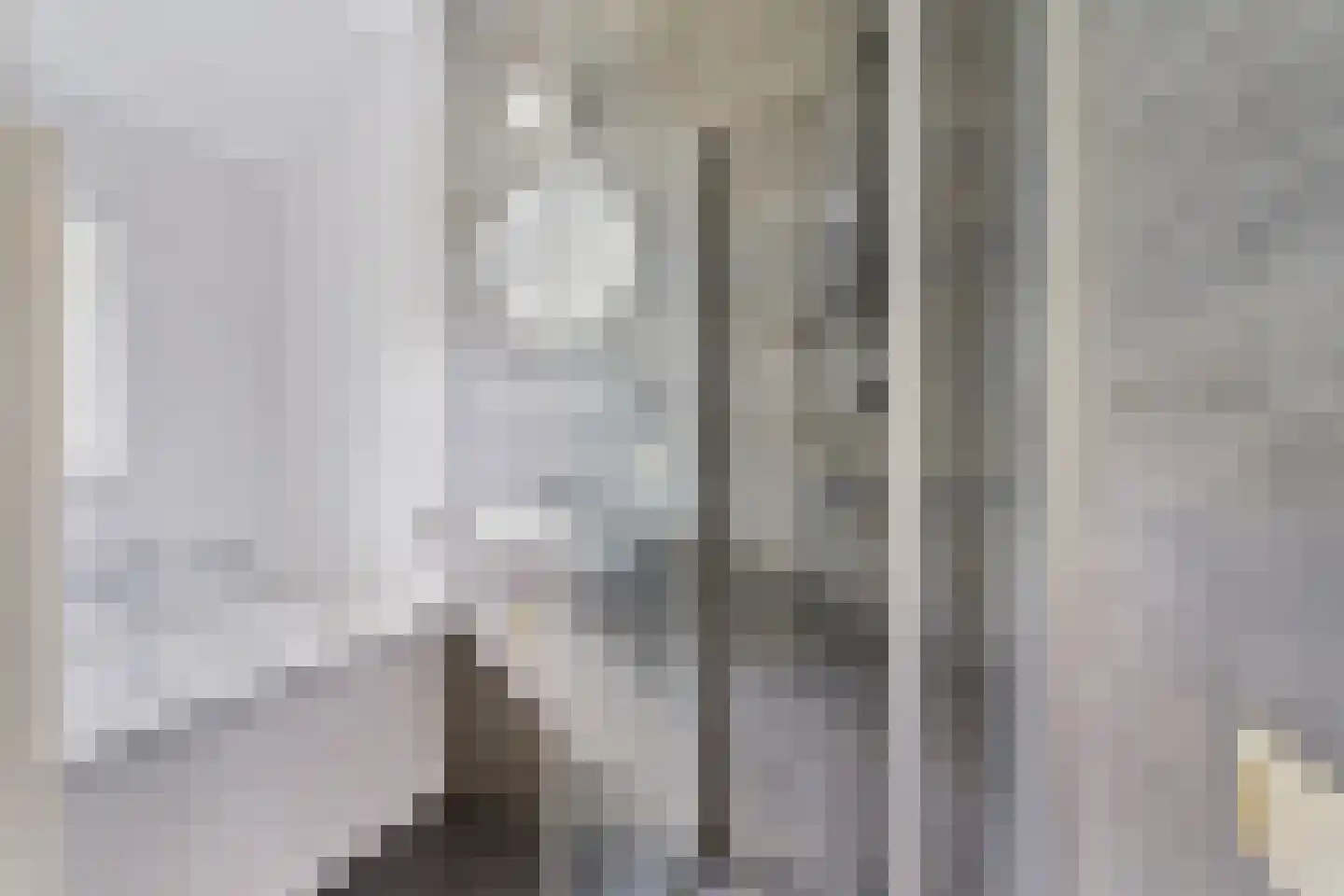 't Hertenspoor 146 Diever thumbnail 13