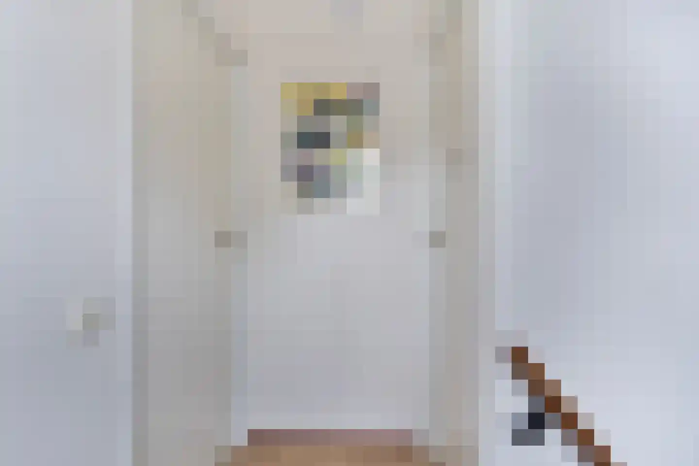 't Hertenspoor 146 Diever thumbnail 18