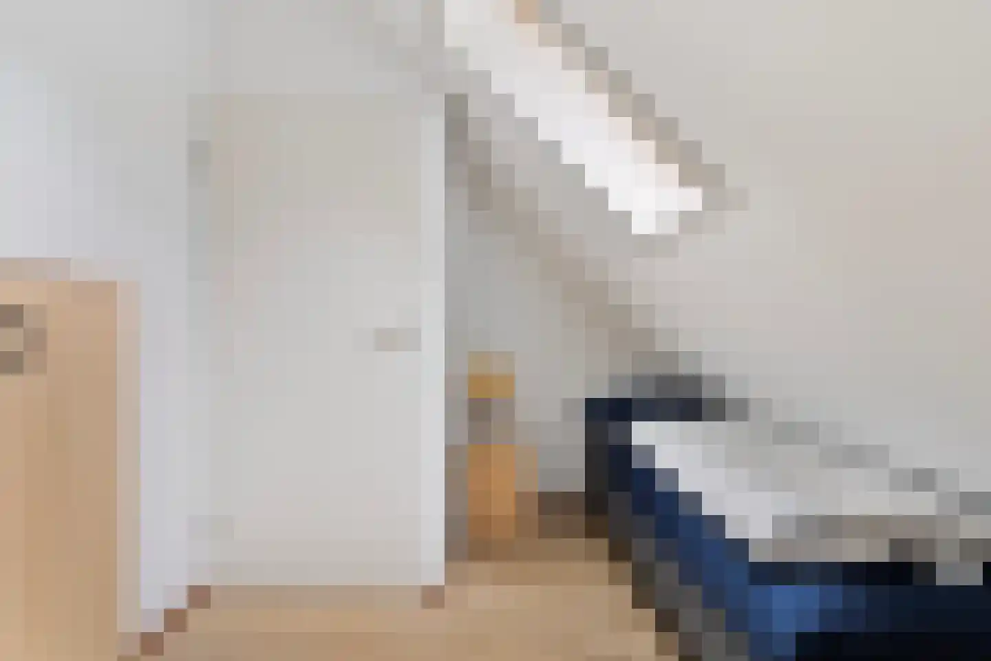 't Hertenspoor 146 Diever thumbnail 21