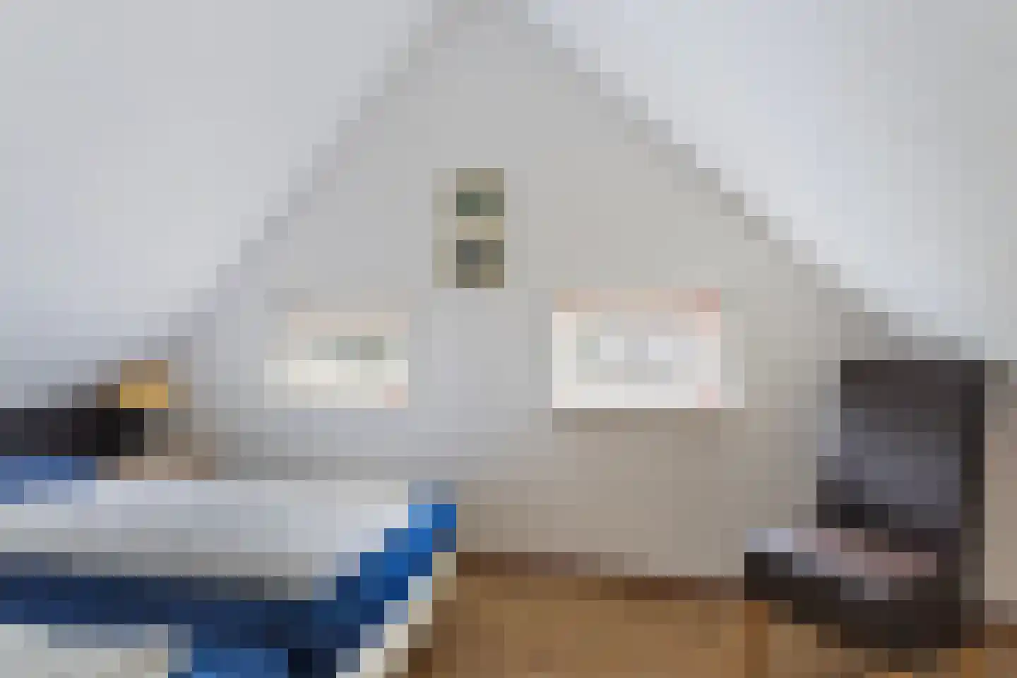 't Hertenspoor 146 Diever thumbnail 22