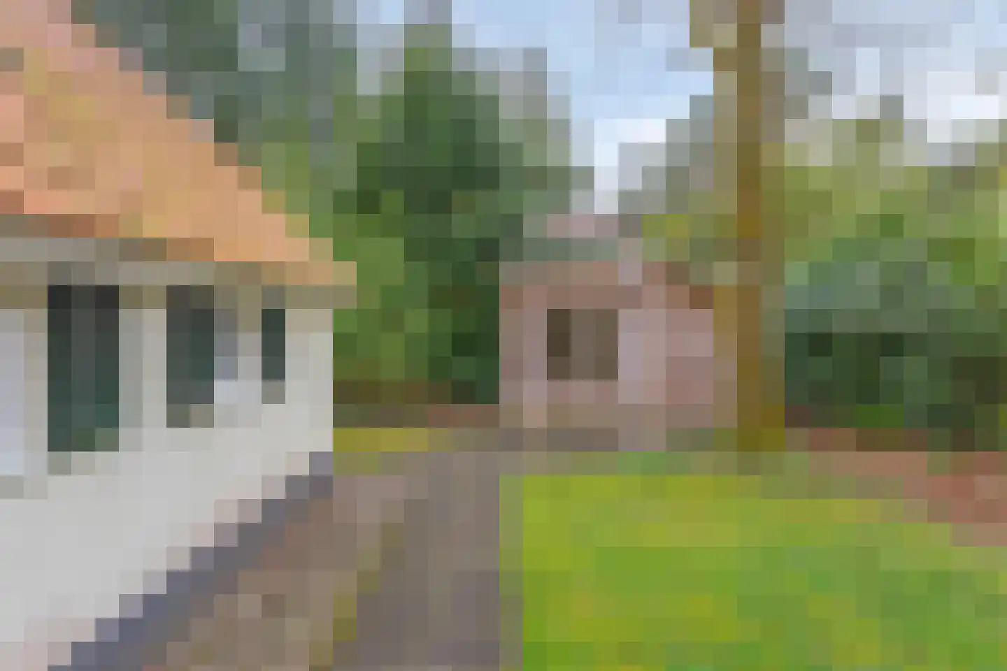 't Hertenspoor 146 Diever thumbnail 26