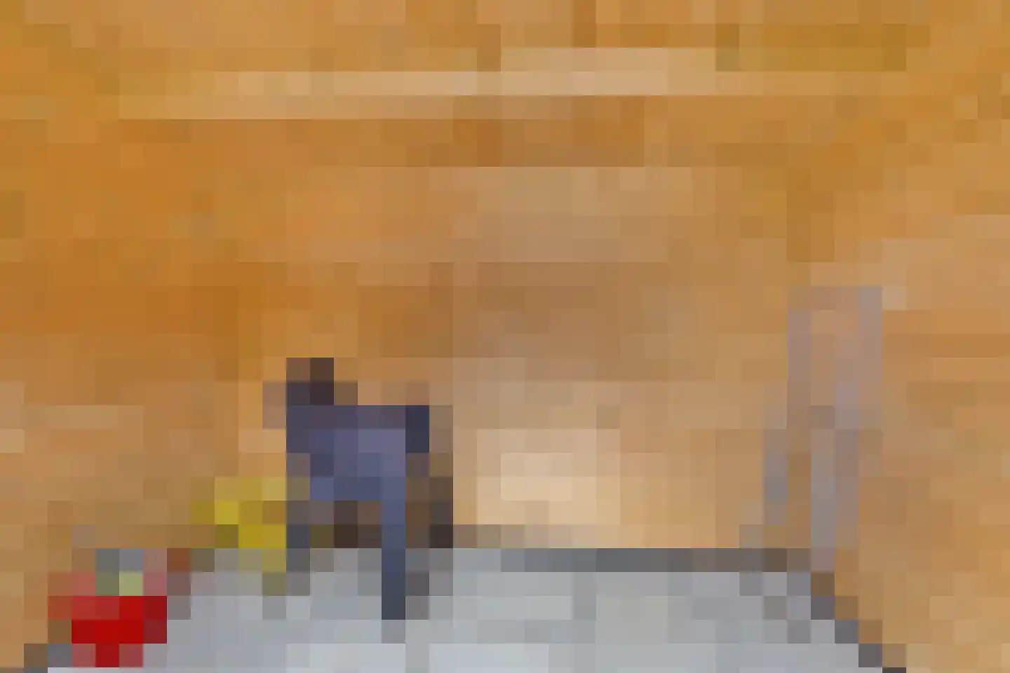 't Hertenspoor 146 Diever thumbnail 27