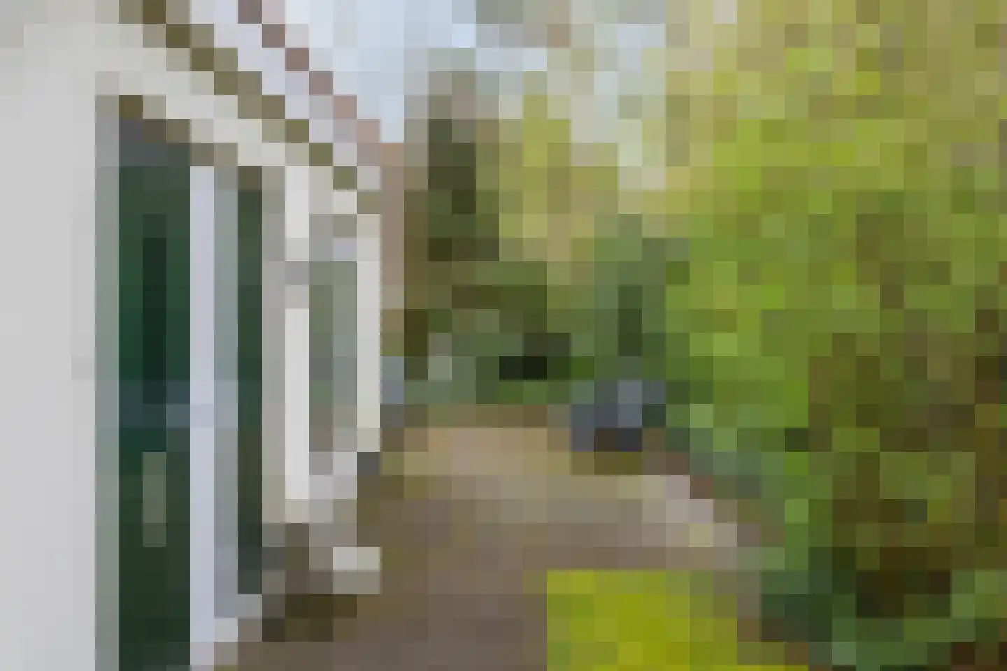 't Hertenspoor 146 Diever thumbnail 28