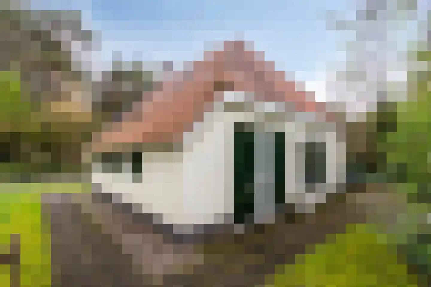 't Hertenspoor 146 Diever thumbnail 29