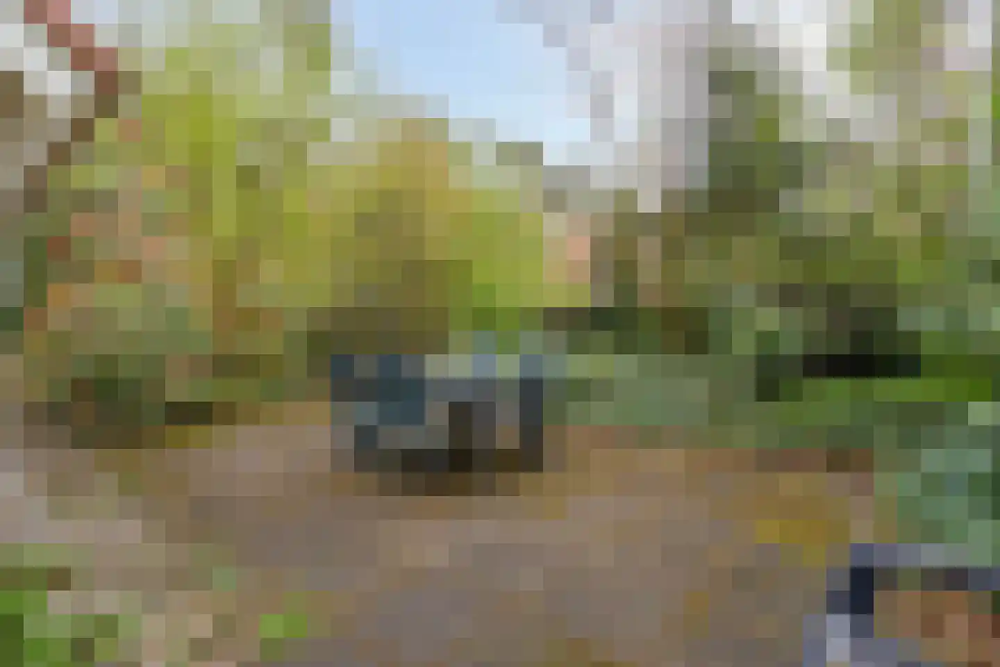 't Hertenspoor 146 Diever thumbnail 30