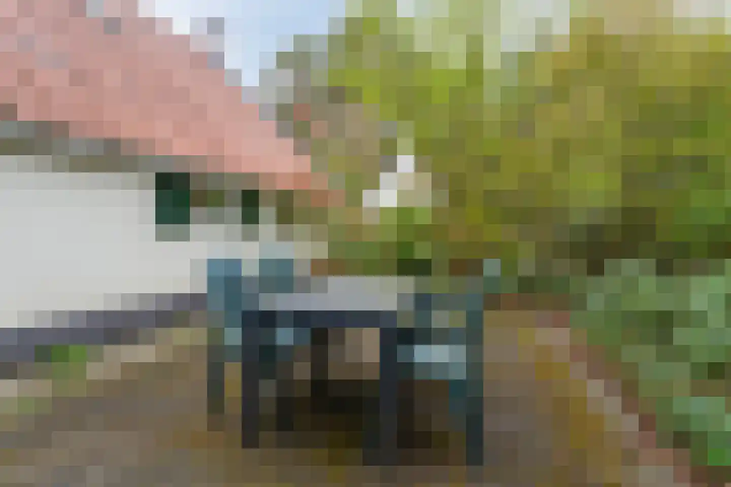 't Hertenspoor 146 Diever thumbnail 32