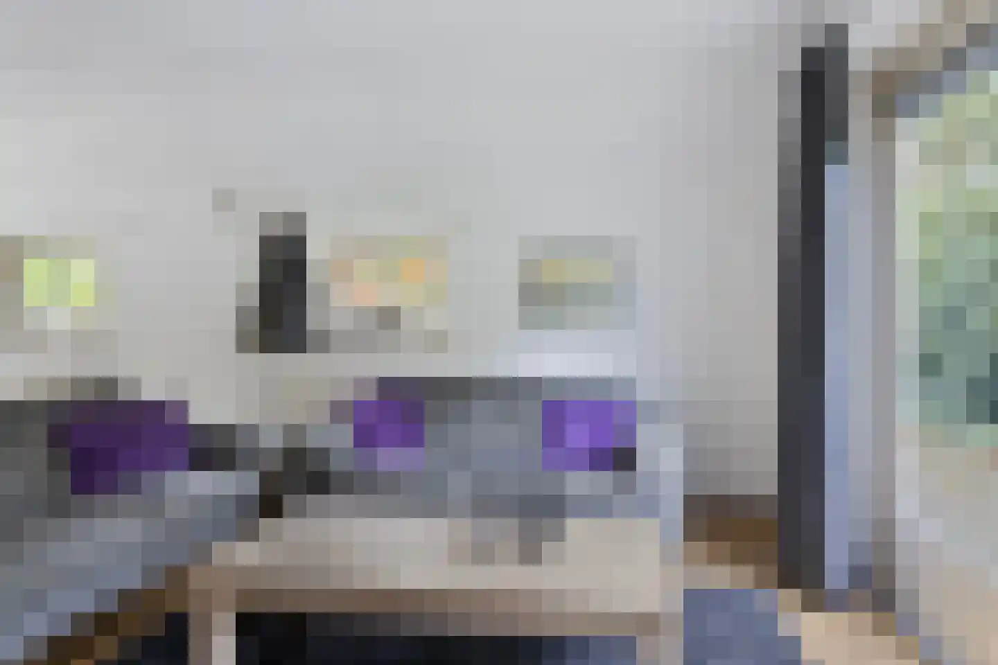 't Hertenspoor 146 Diever thumbnail 5