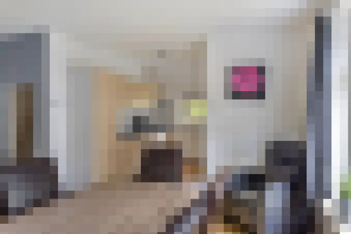 't Hertenspoor 146 Diever thumbnail 7