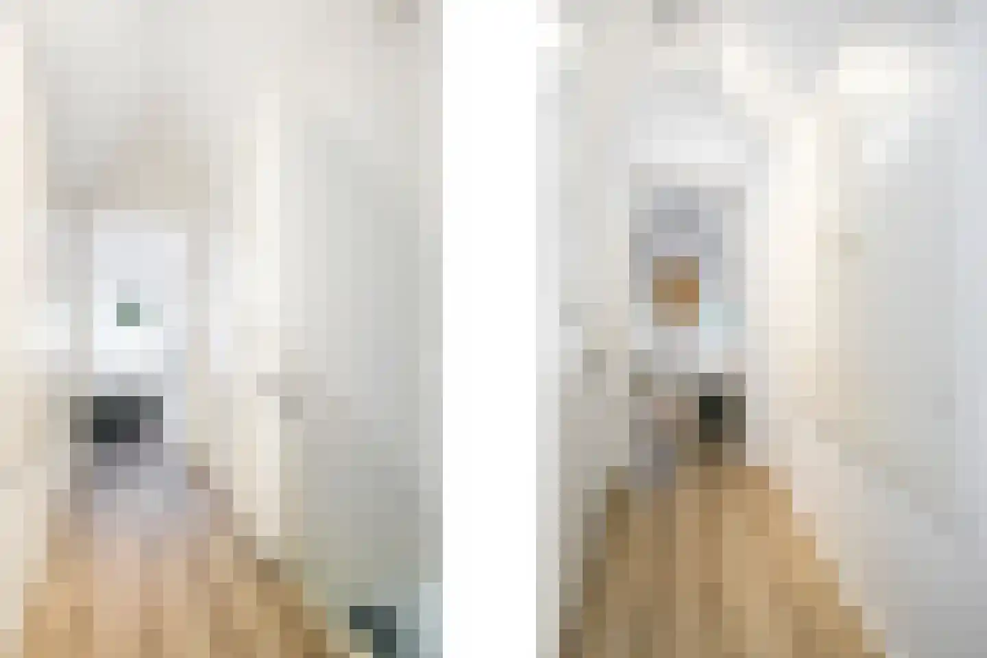 't Hertenspoor 26 Diever thumbnail 20