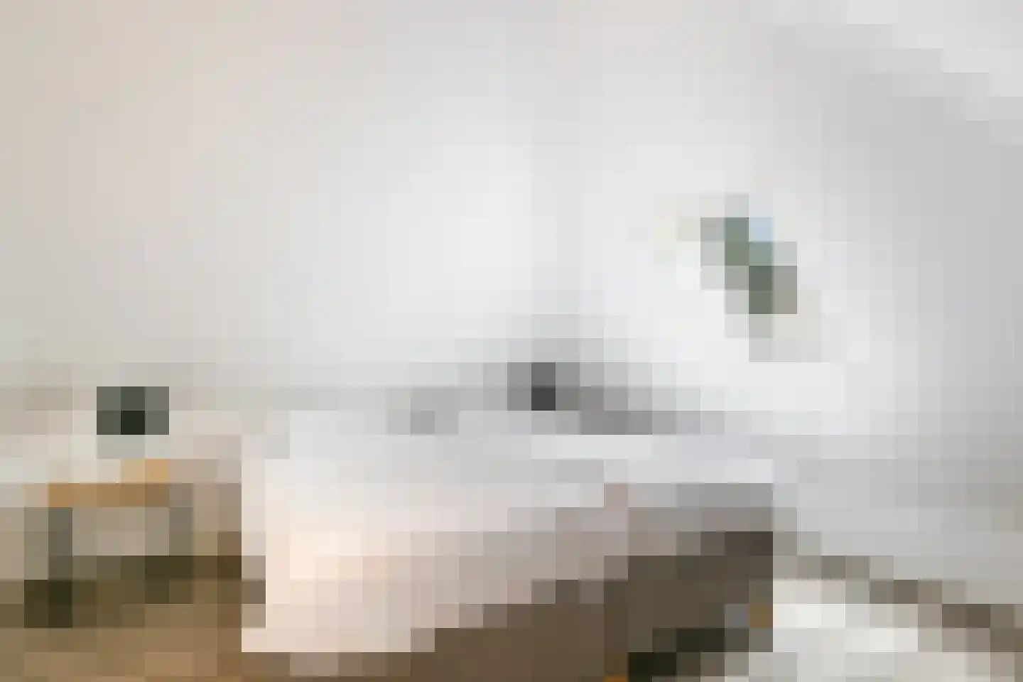 't Hertenspoor 26 Diever thumbnail 23