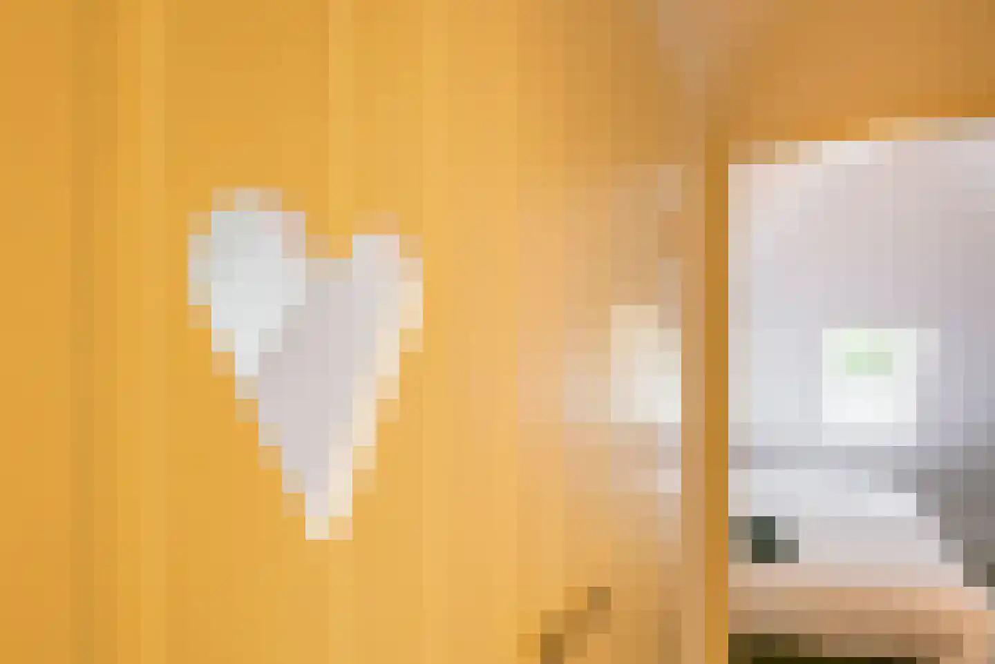 't Hertenspoor 26 Diever thumbnail 25
