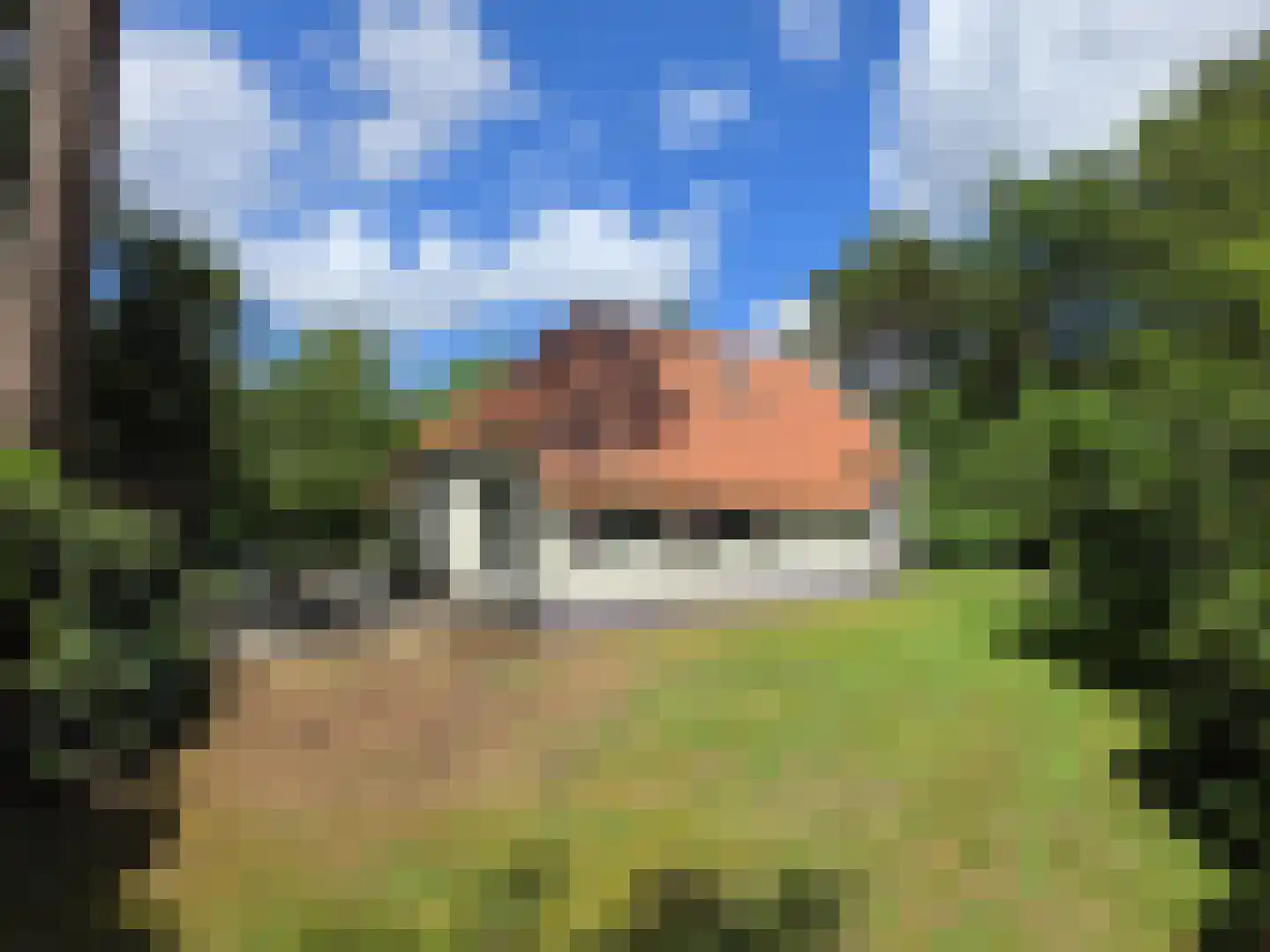 't Hertenspoor 26 Diever thumbnail 28