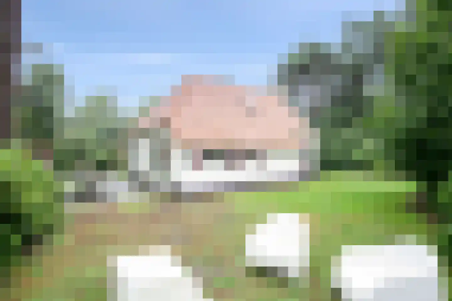 't Hertenspoor 26 Diever thumbnail 29