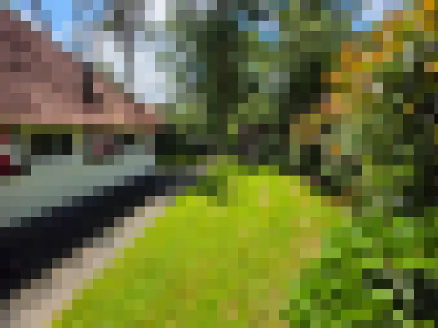 't Hertenspoor 26 Diever thumbnail 29
