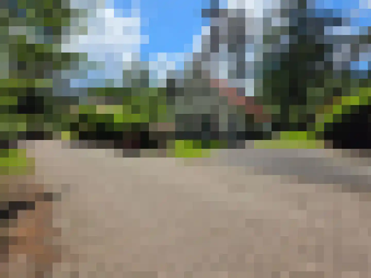 't Hertenspoor 26 Diever thumbnail 30