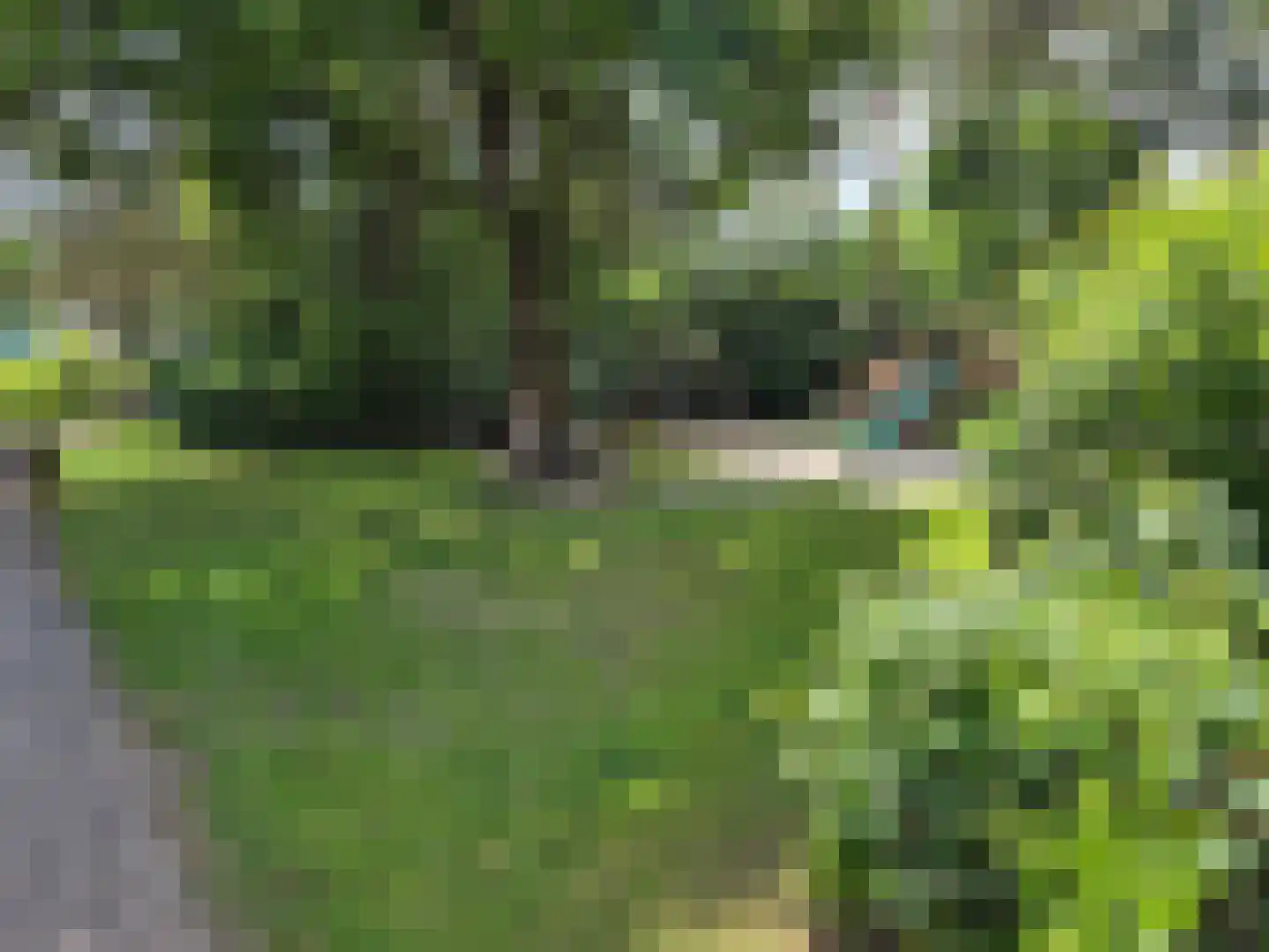 't Hertenspoor 26 Diever thumbnail 33