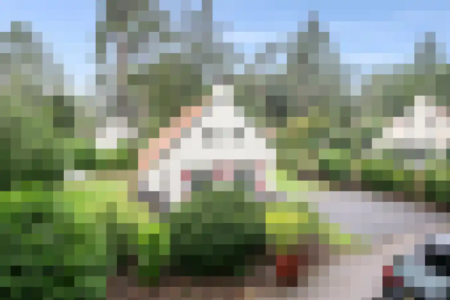 't Hertenspoor 26 Diever thumbnail 33