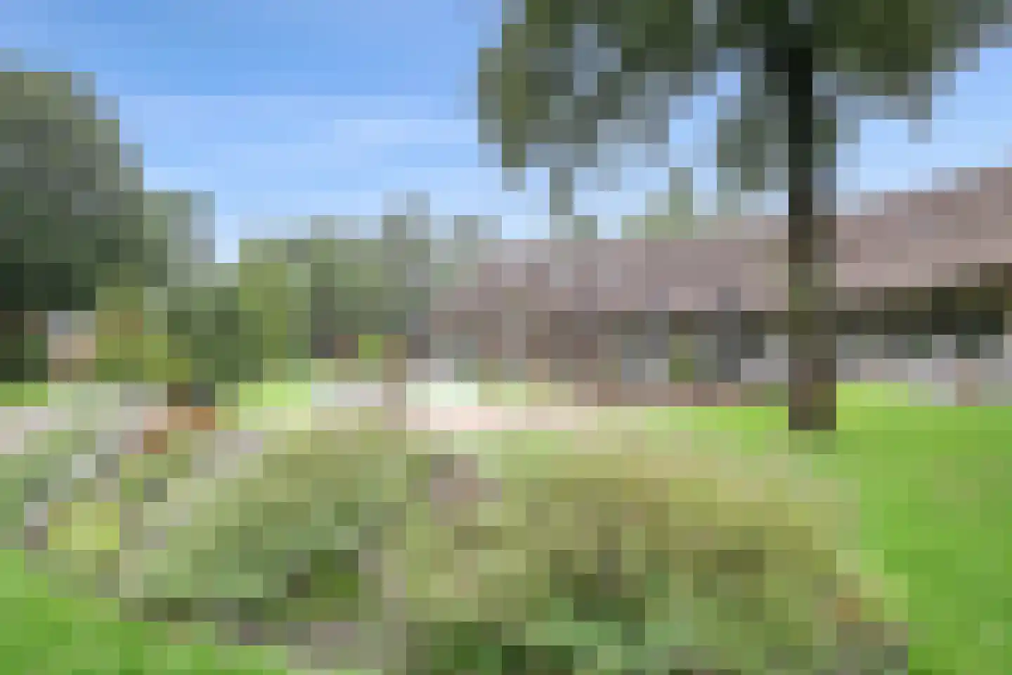 't Hertenspoor 26 Diever thumbnail 35