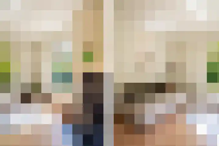 't Hertenspoor 33 Diever thumbnail 10