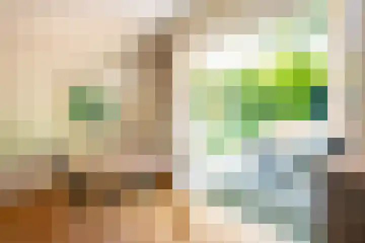 't Hertenspoor 33 Diever thumbnail 13