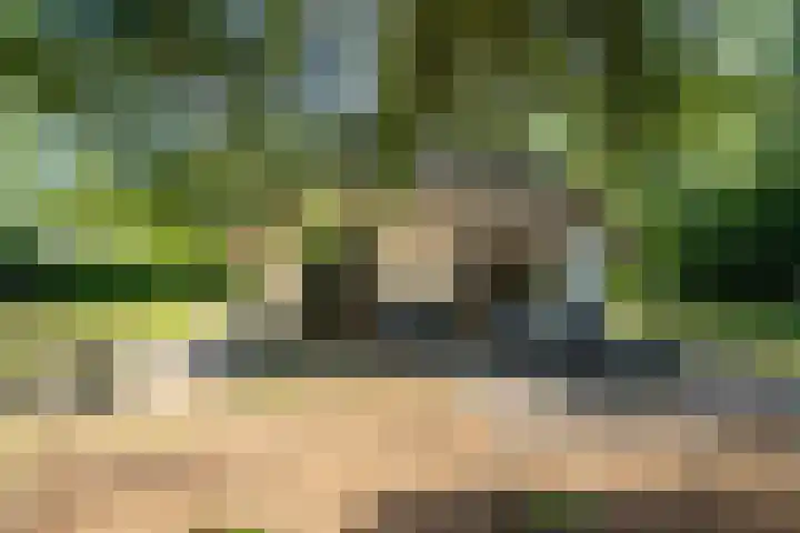 't Hertenspoor 33 Diever thumbnail 25