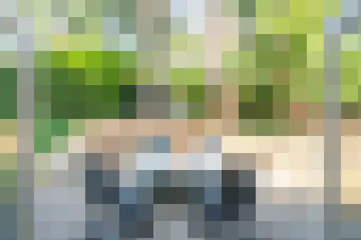 't Hertenspoor 33 Diever thumbnail 28