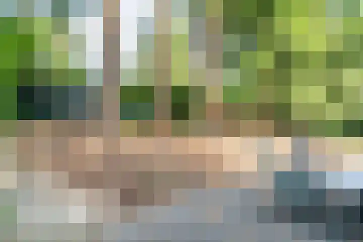 't Hertenspoor 33 Diever thumbnail 29