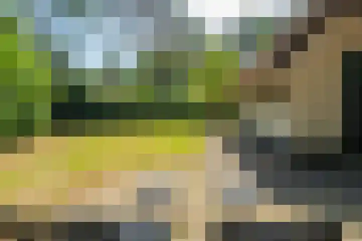't Hertenspoor 33 Diever thumbnail 32