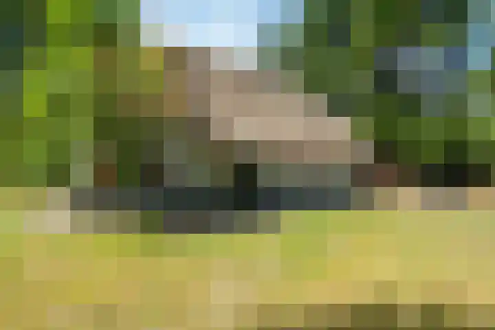 't Hertenspoor 33 Diever thumbnail 34