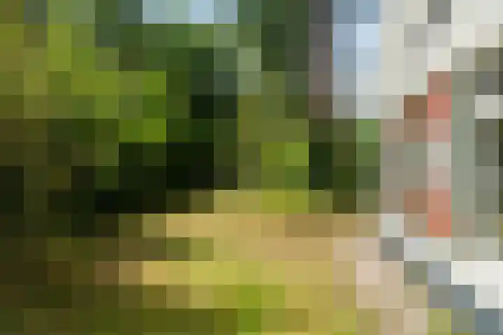 't Hertenspoor 33 Diever thumbnail 36
