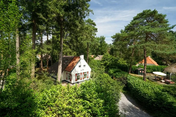 't Hertenspoor 33 Diever thumbnail 38
