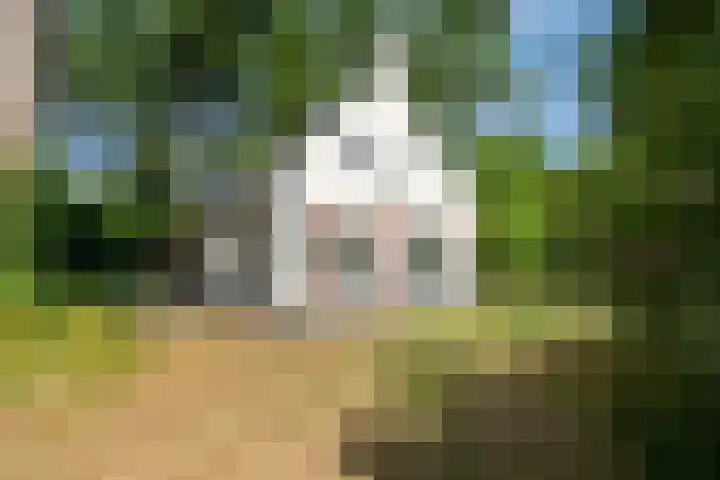 't Hertenspoor 33 Diever thumbnail 5