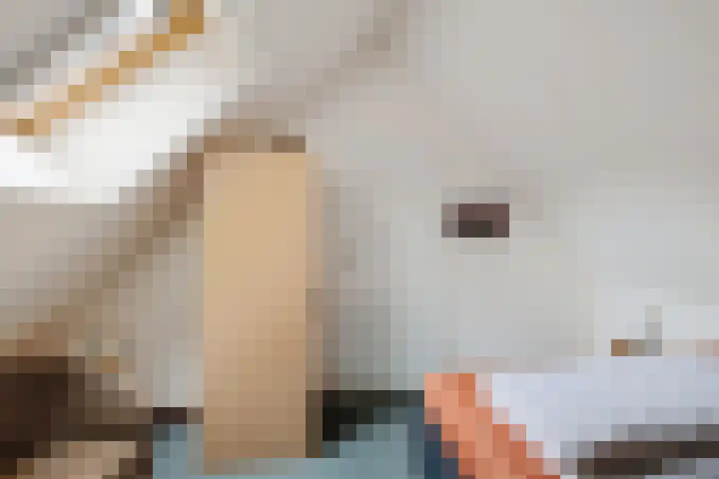 't Hertenspoor 46 Diever thumbnail 14
