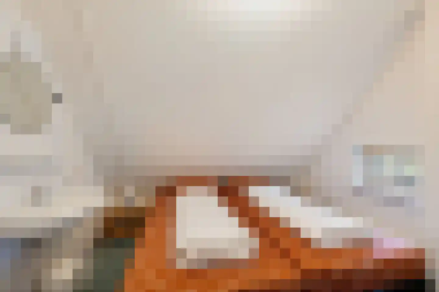 't Hertenspoor 46 Diever thumbnail 16