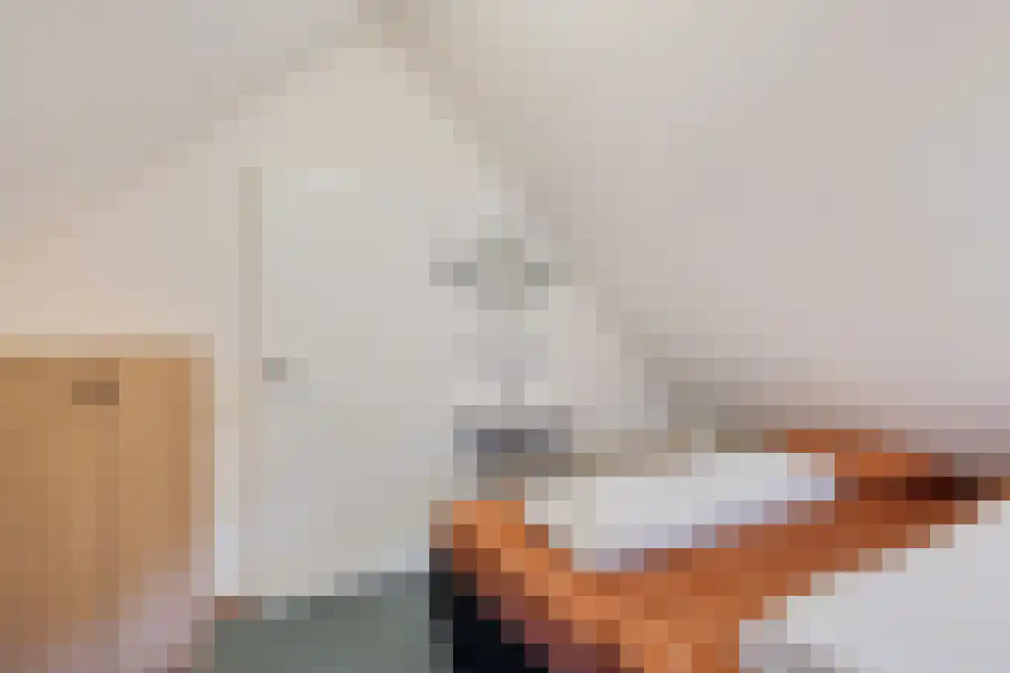 't Hertenspoor 46 Diever thumbnail 17