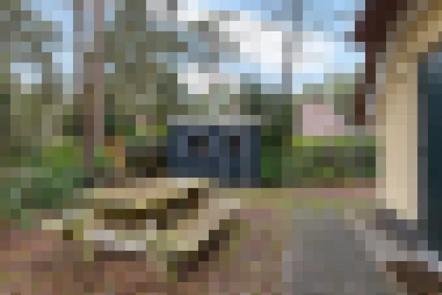 't Hertenspoor 46 Diever thumbnail 20