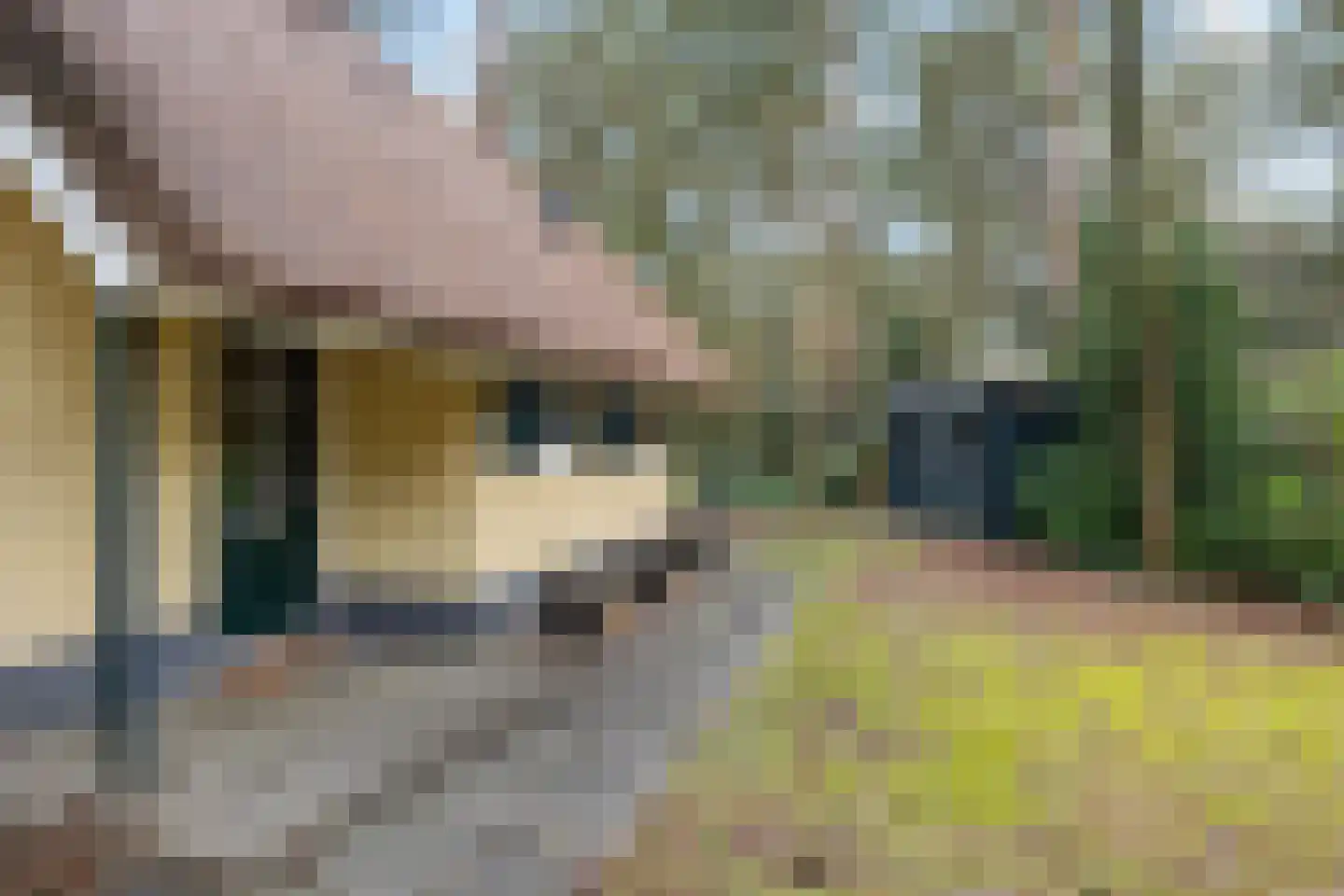 't Hertenspoor 46 Diever thumbnail 23