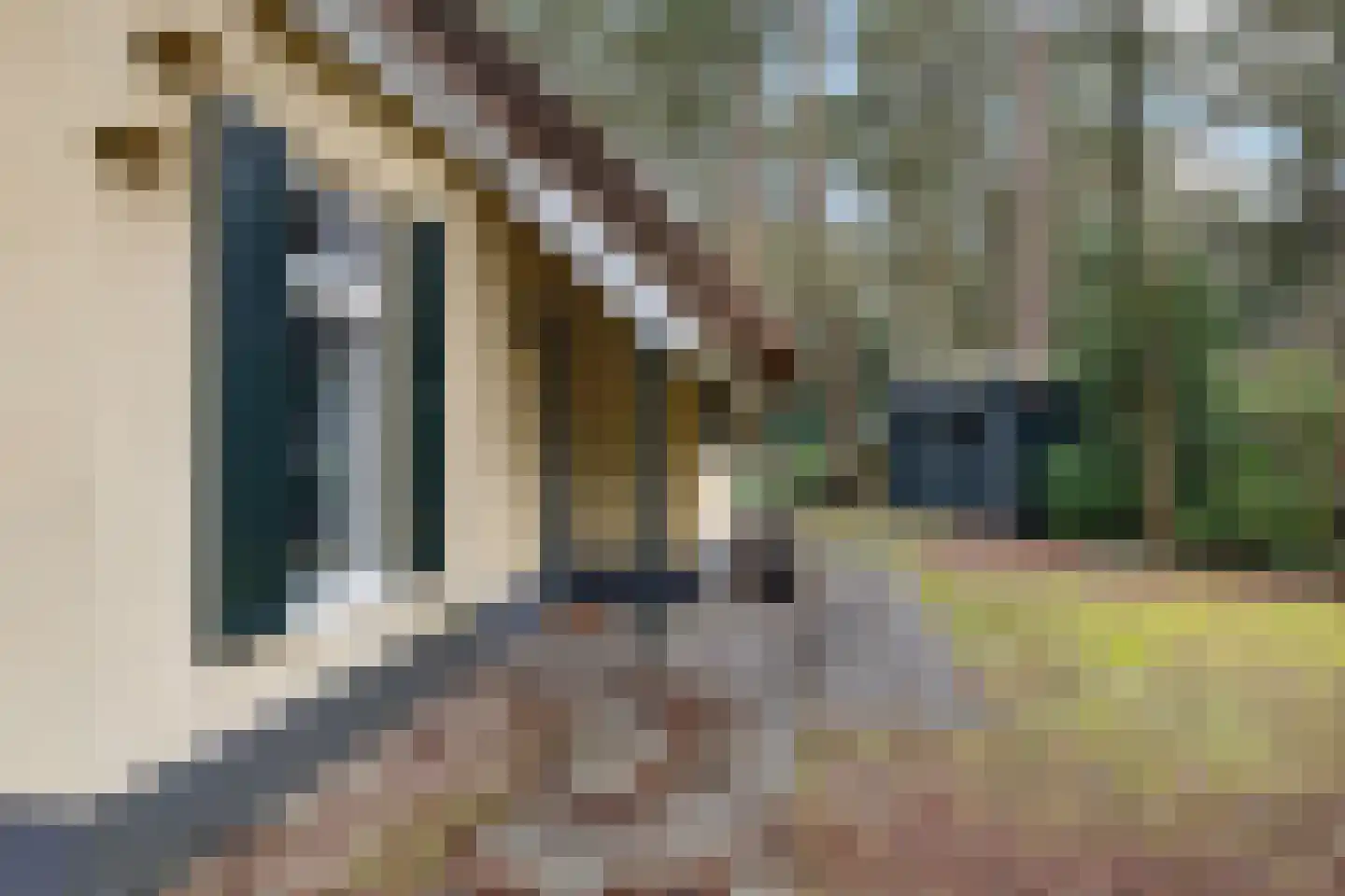 't Hertenspoor 46 Diever thumbnail 24