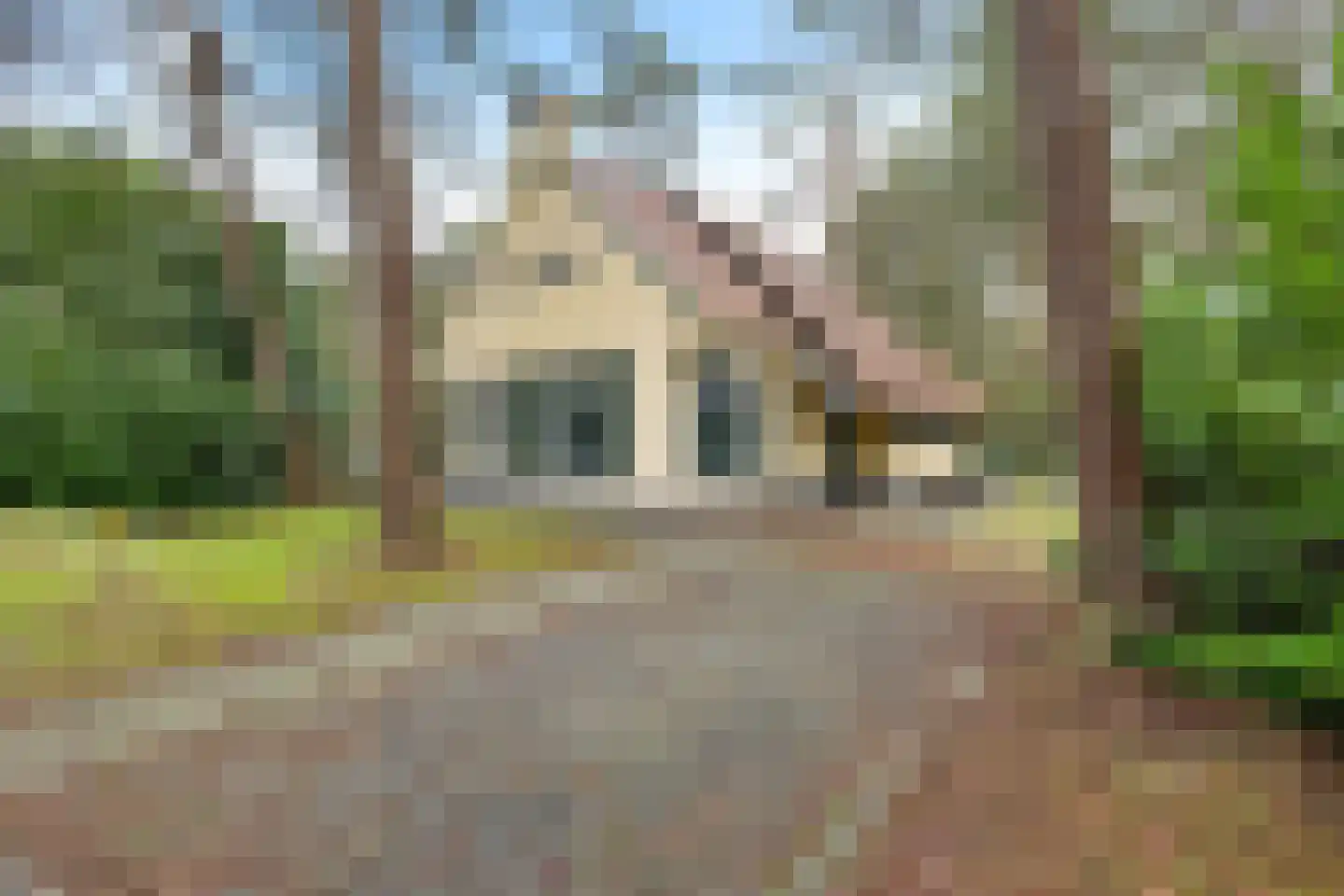 't Hertenspoor 46 Diever thumbnail 27