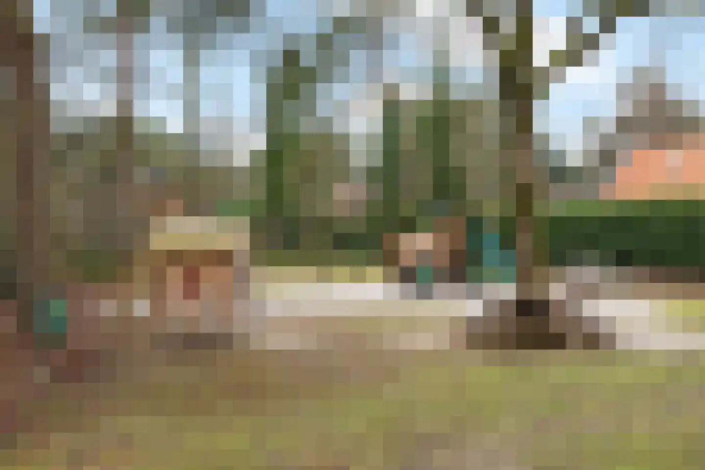 't Hertenspoor 46 Diever thumbnail 32