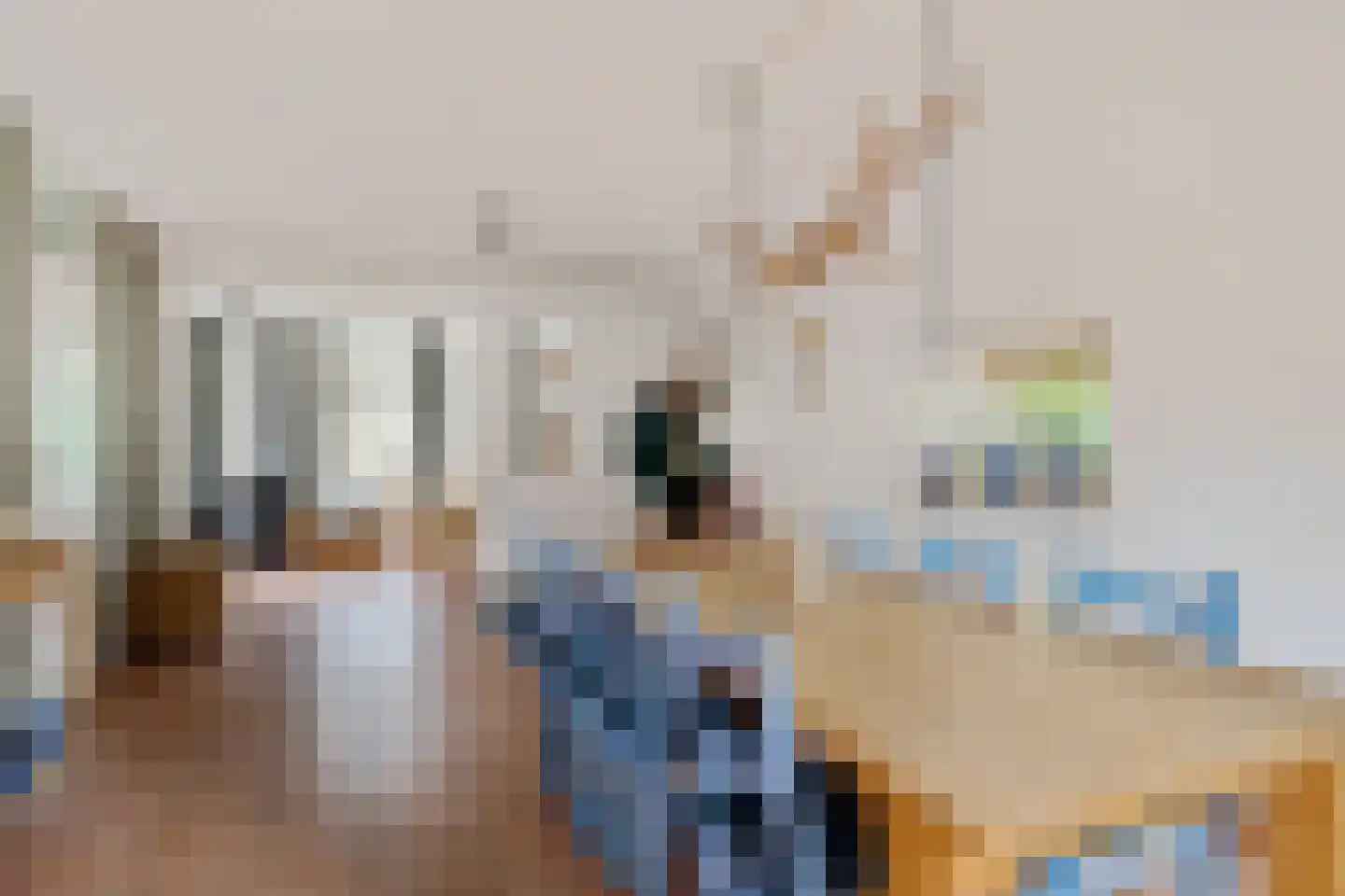 't Hertenspoor 46 Diever thumbnail 7