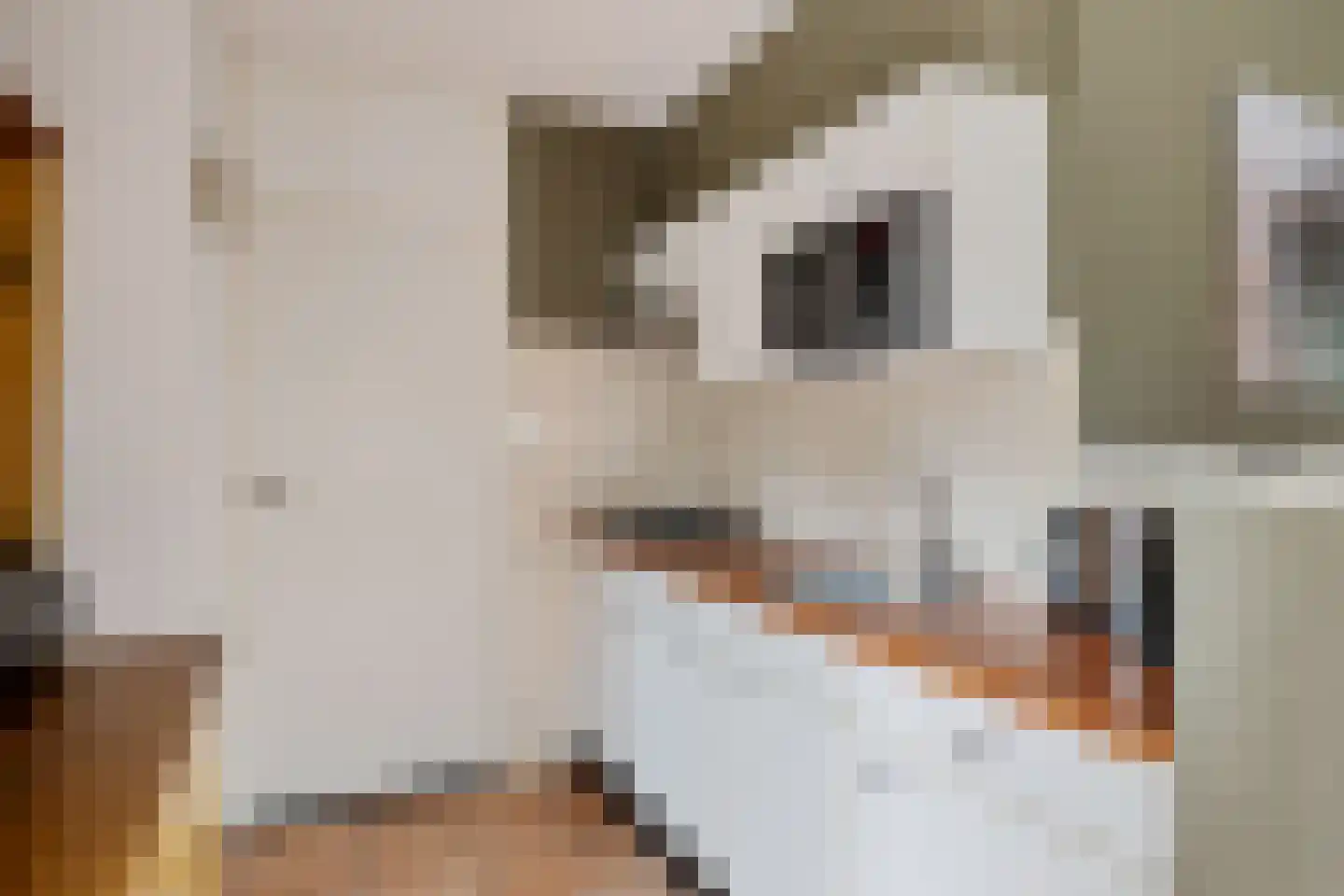 't Hertenspoor 46 Diever thumbnail 9