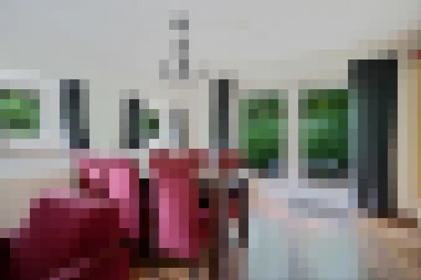 't Hertenspoor 5 Diever thumbnail 12