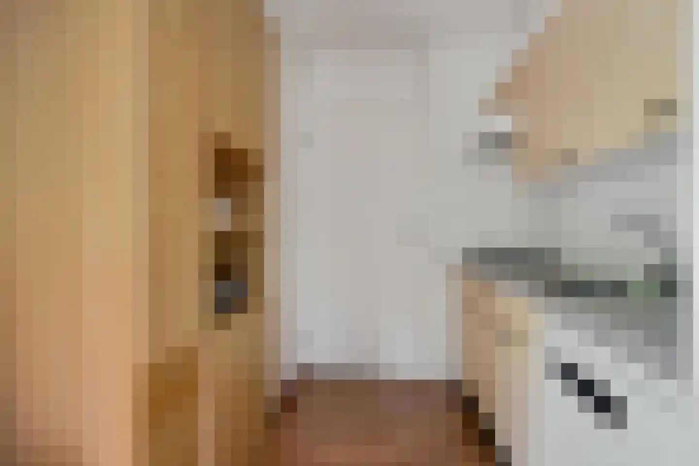 't Hertenspoor 5 Diever thumbnail 14