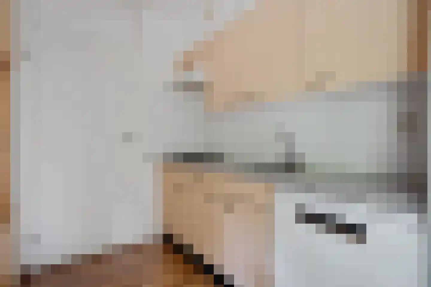 't Hertenspoor 5 Diever thumbnail 14