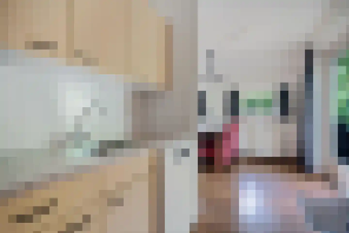 't Hertenspoor 5 Diever thumbnail 15
