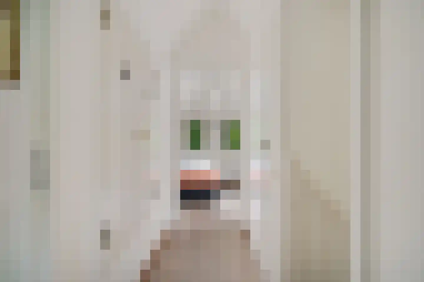 't Hertenspoor 5 Diever thumbnail 22