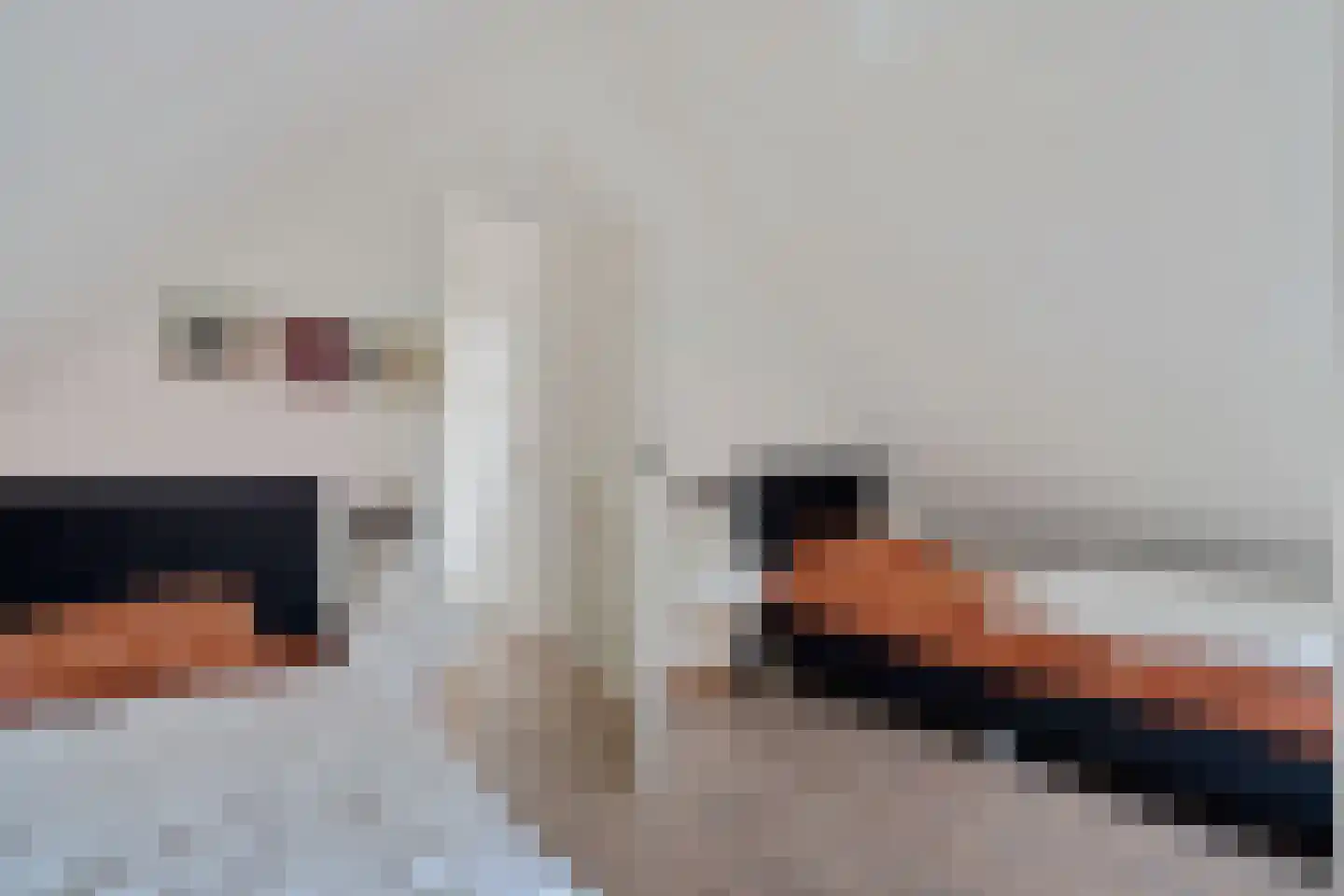 't Hertenspoor 5 Diever thumbnail 24