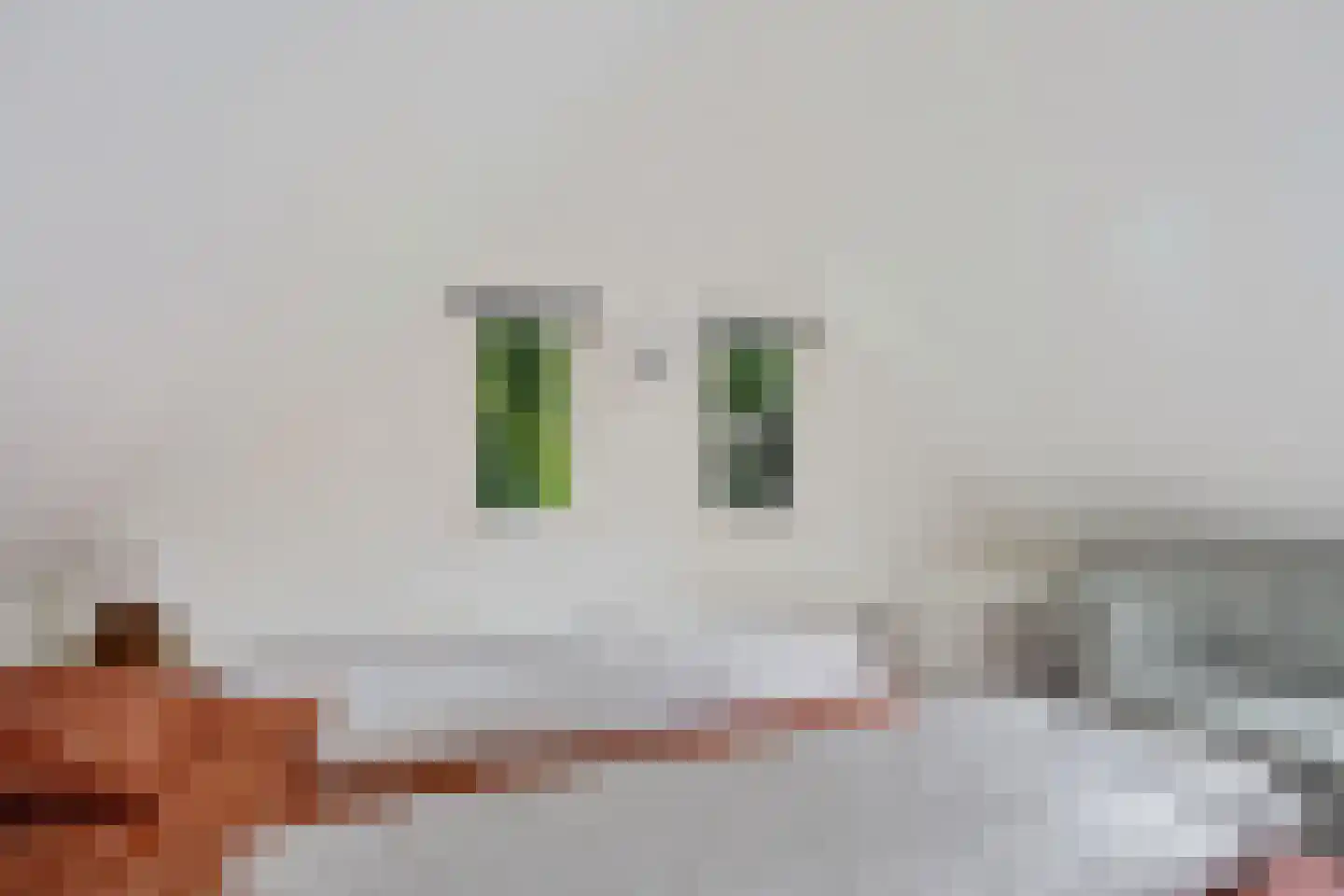 't Hertenspoor 5 Diever thumbnail 27