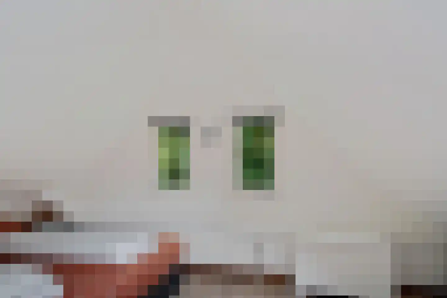 't Hertenspoor 5 Diever thumbnail 27